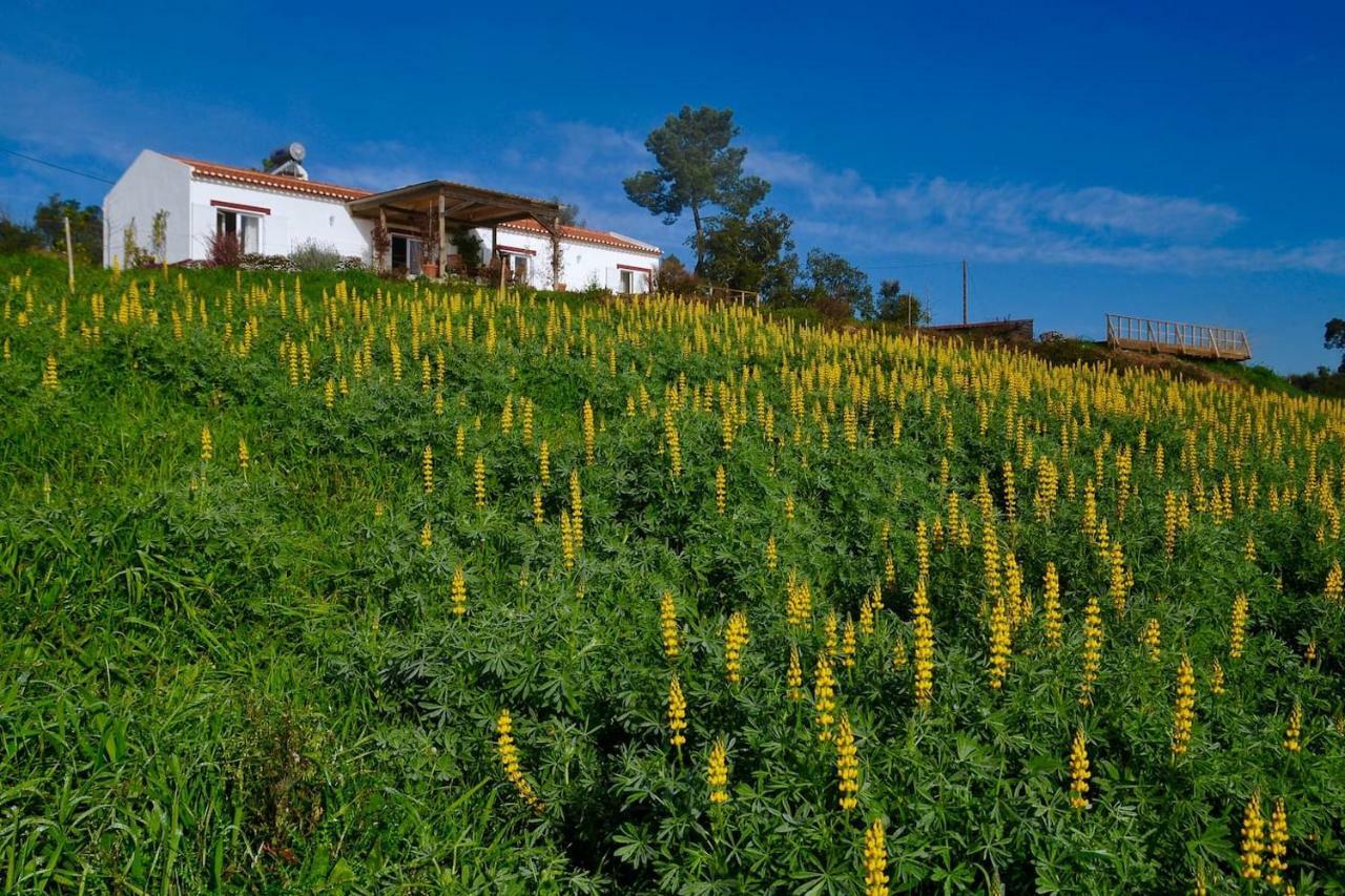 Cal Velho - Holiday Lodge Sao Luis Bagian luar foto